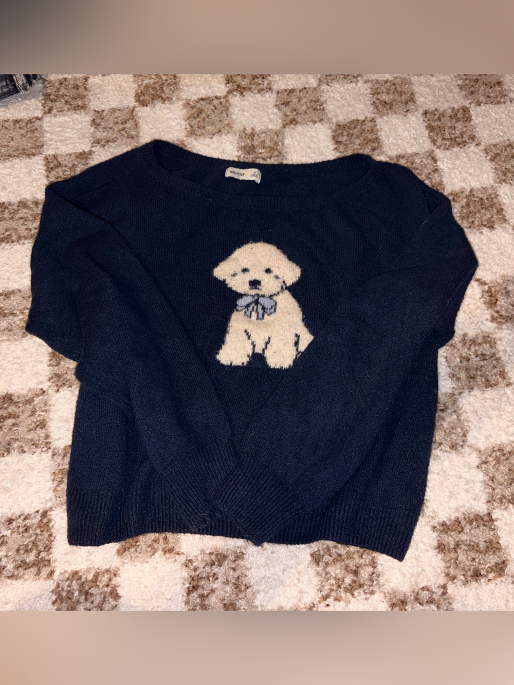 Hollister Dog Sweater